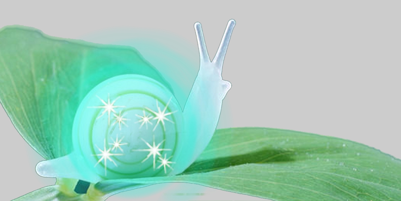 蜗牛灯    刘天宇.1.JPG